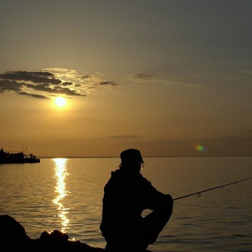 Photo #4979781