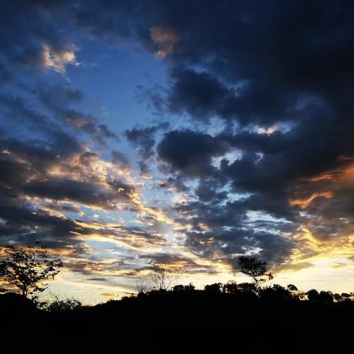 Photo #4979953
