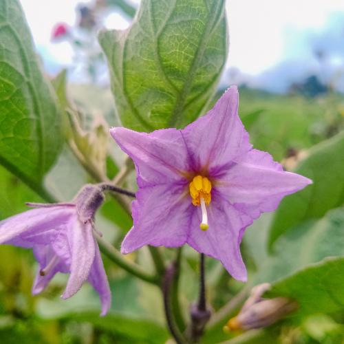 Photo #4980253