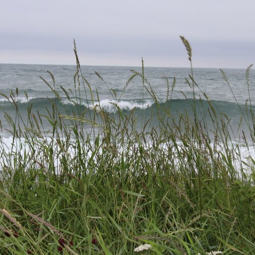 Photo #4980381