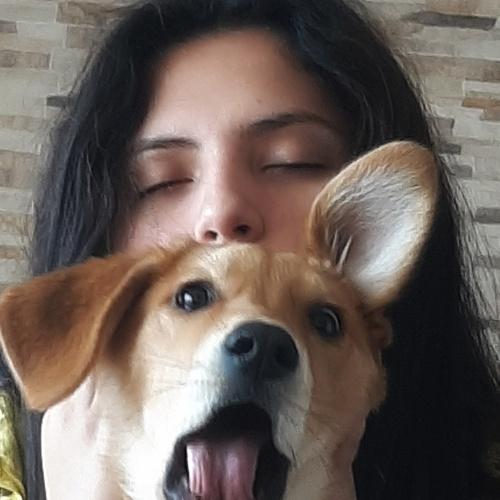 Photo #4980597