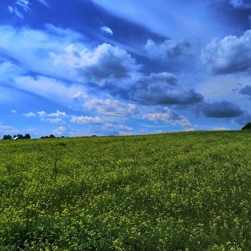 Photo #4980680