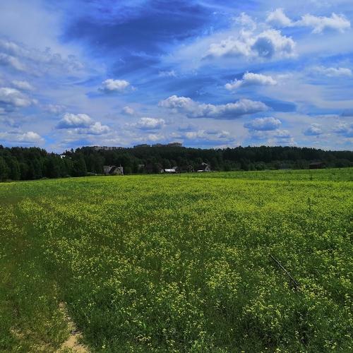 Photo #4980681