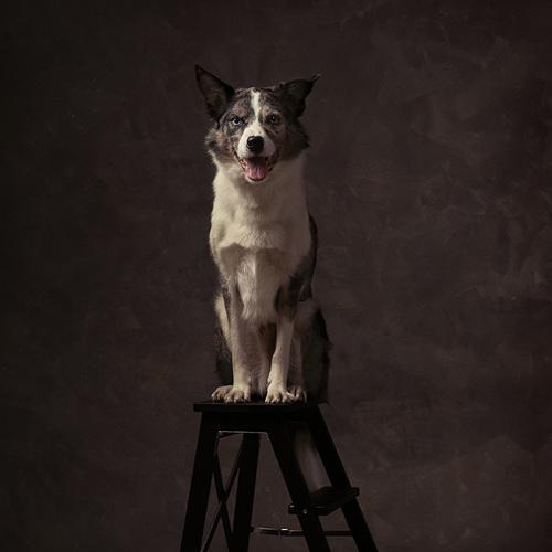 Photo #4980723
