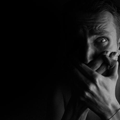 Photo #4980767