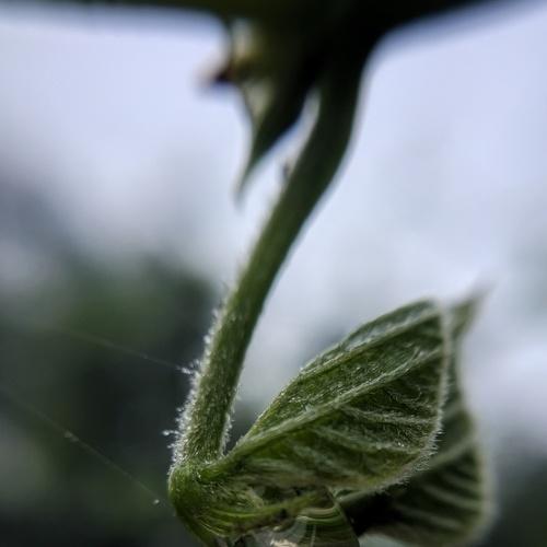 Photo #4980813