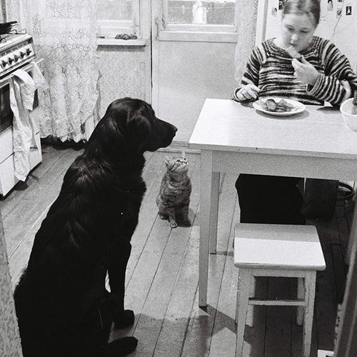 Photo #4980820