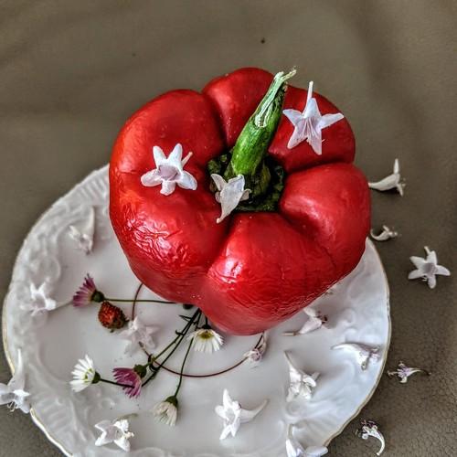 Цветы кожа и красный овощ
