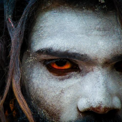 Photo #4981167