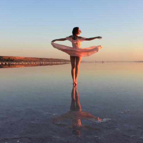 Photo #4981236
