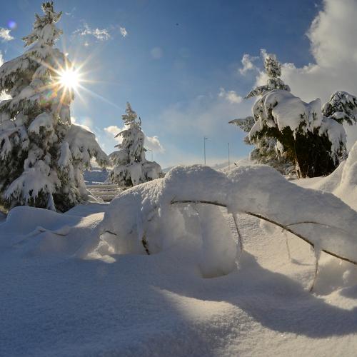 Photo #4981838