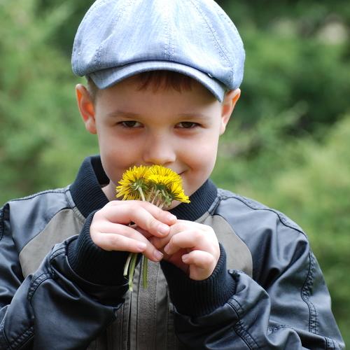 Photo #4981856