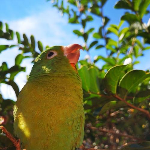 Photo #4981959
