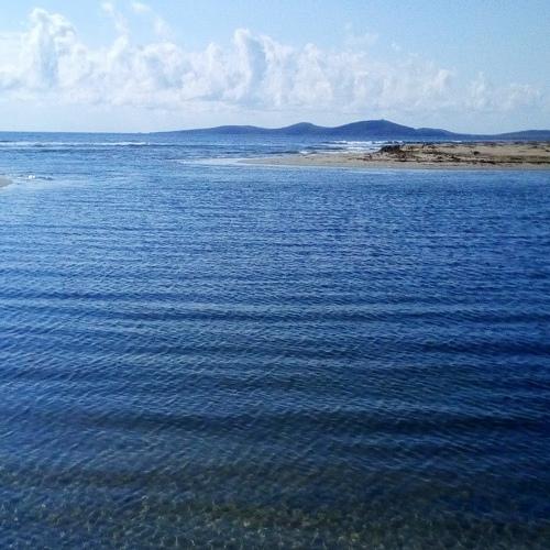 Photo #4982115