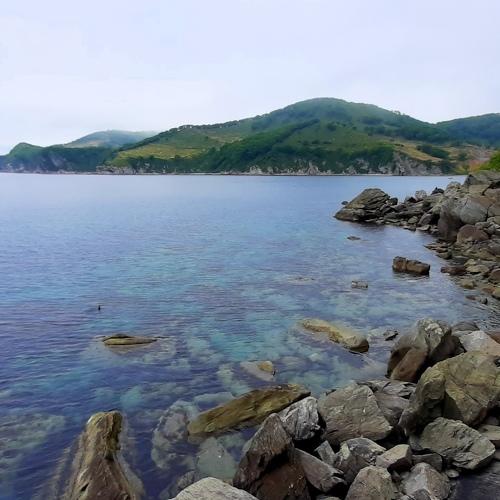 Photo #4982116