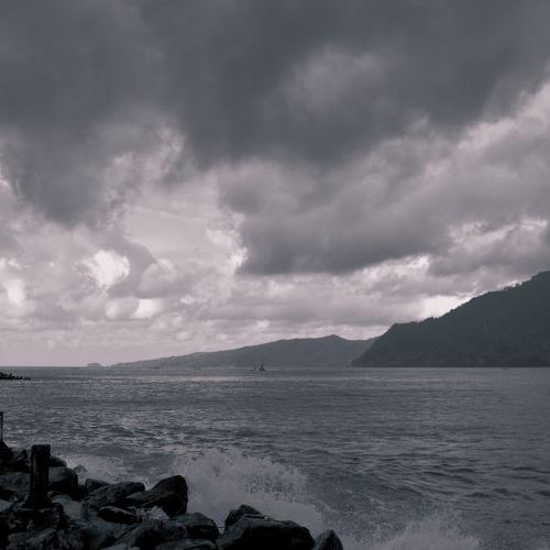 Photo #4982311