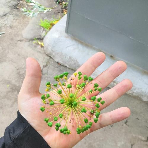 Photo #4982526