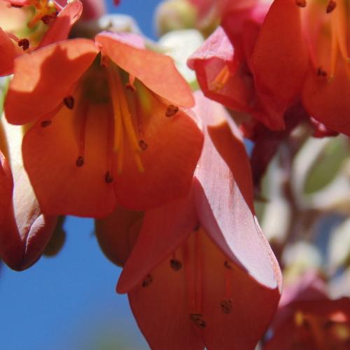 Photo #4982656