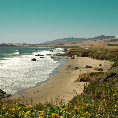 Photo #4982742
