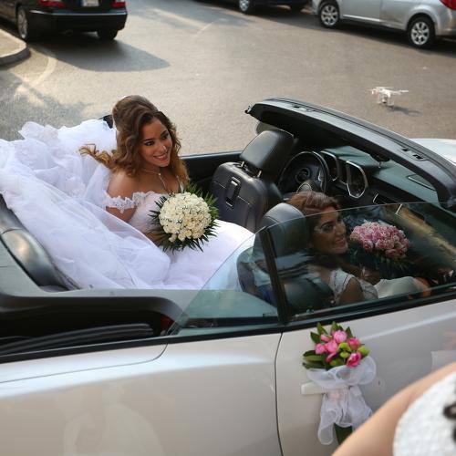 Photo #4983305