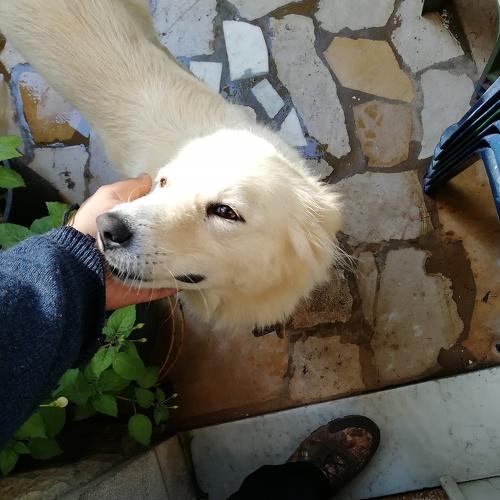 Photo #4983335
