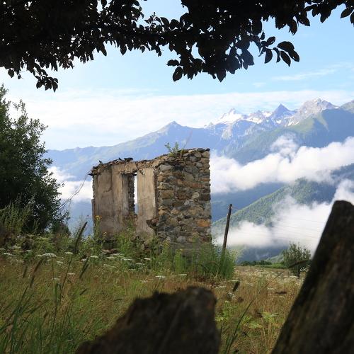 Photo #4983448