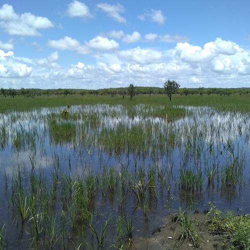 Photo #4983978