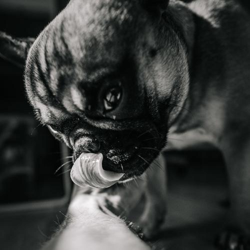 Photo #4984440