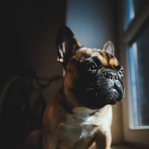 Photo #4984441