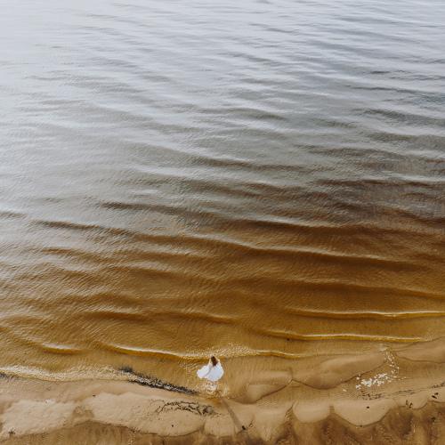 Photo #4984492