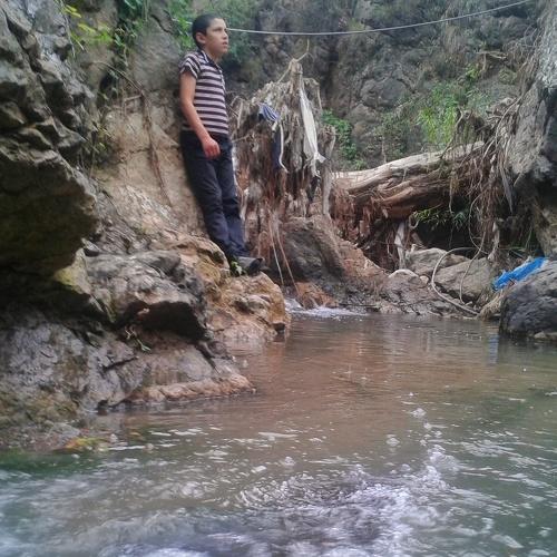 Photo #4984552