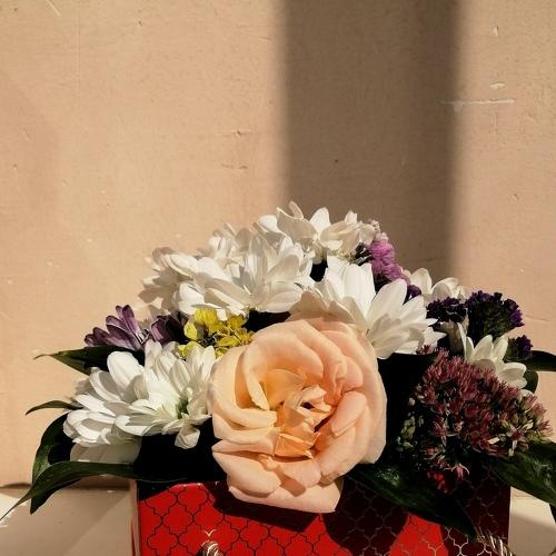 Photo #4984712
