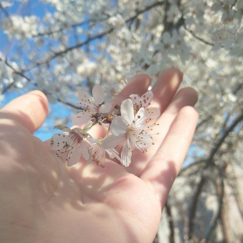 Photo #4984800