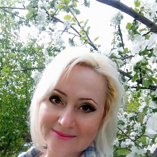 Photo #4985084