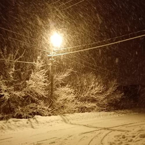 Photo #4985092