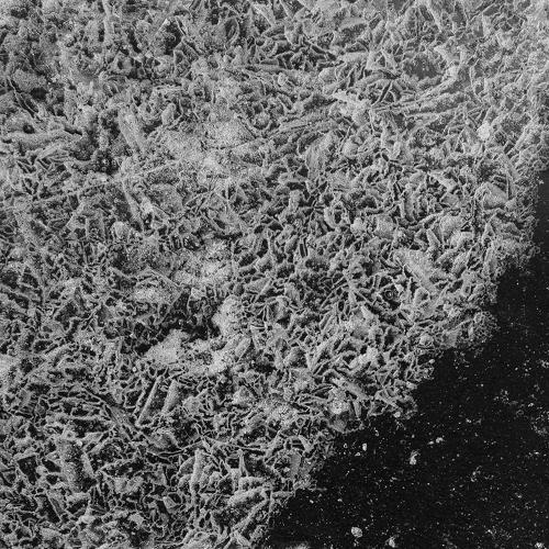 Ice