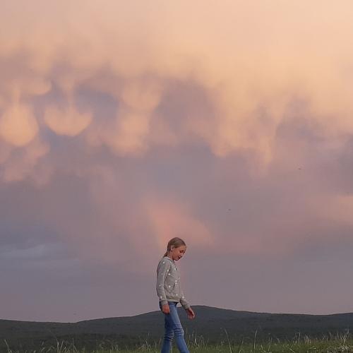 Photo #4985473