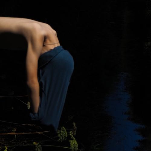 Photo #4986159