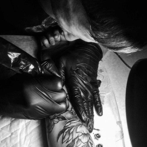 Photo #4986361