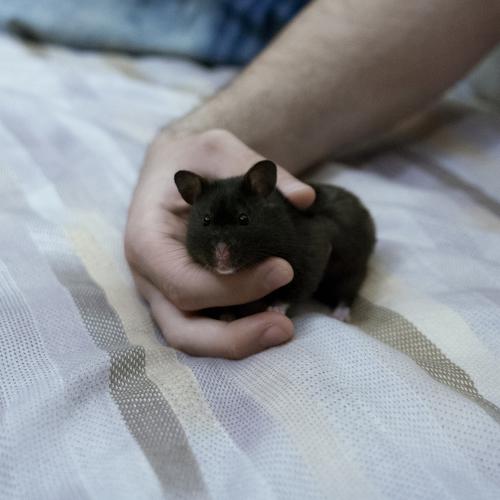 Photo #4986489