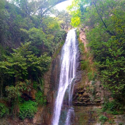 Photo #4987046