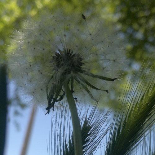 Photo #4987200