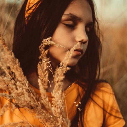 Photo #4987602