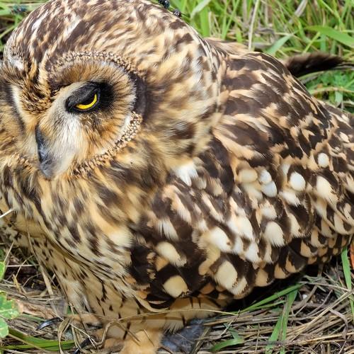 Photo #4987613