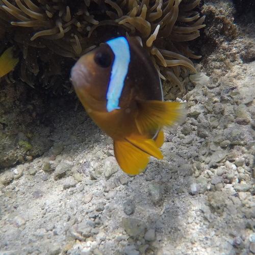 Photo #4987744
