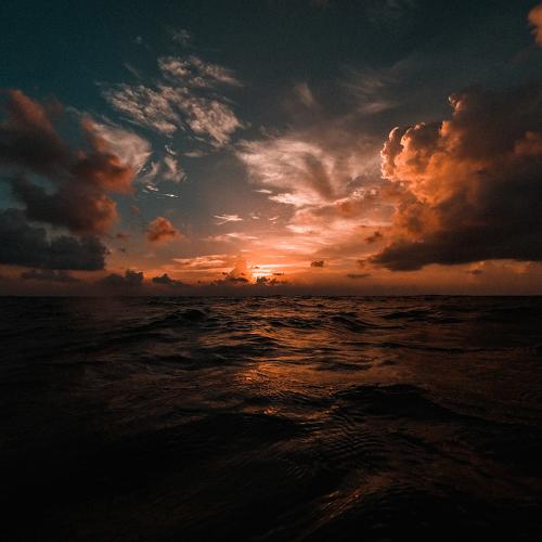 Photo #4988001