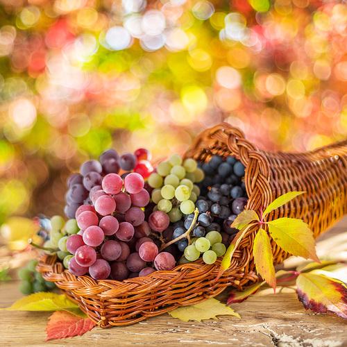Photo #4988240