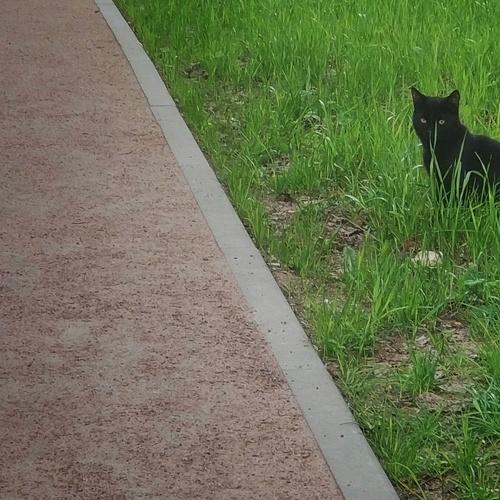 Photo #4989165