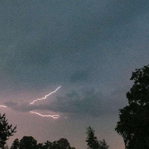 Photo #4989856