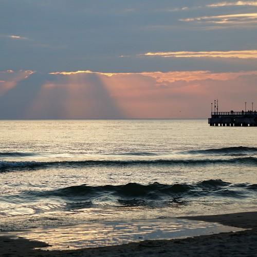 Photo #4989883